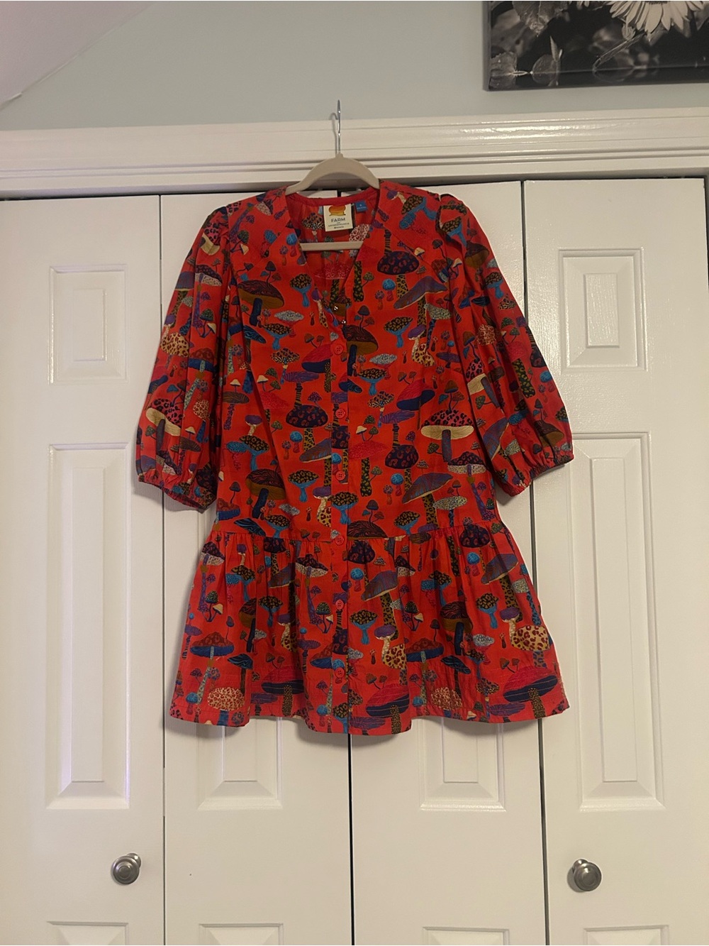 Women’s Anthropologie Farm dress